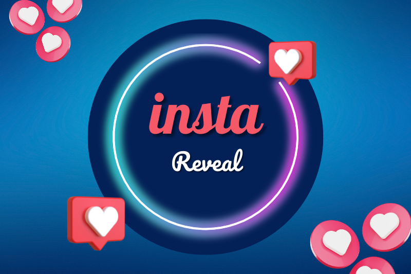 InstaViewer — free Instagram private account viewer showing privacy protection and anonymous browsing for viewing private Instagram posts, stories, reels and followers